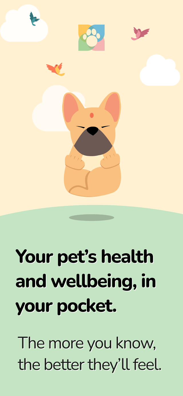 PetOS pet details screen showing pet profile information including name, species, breed, date of birth, and microchip number