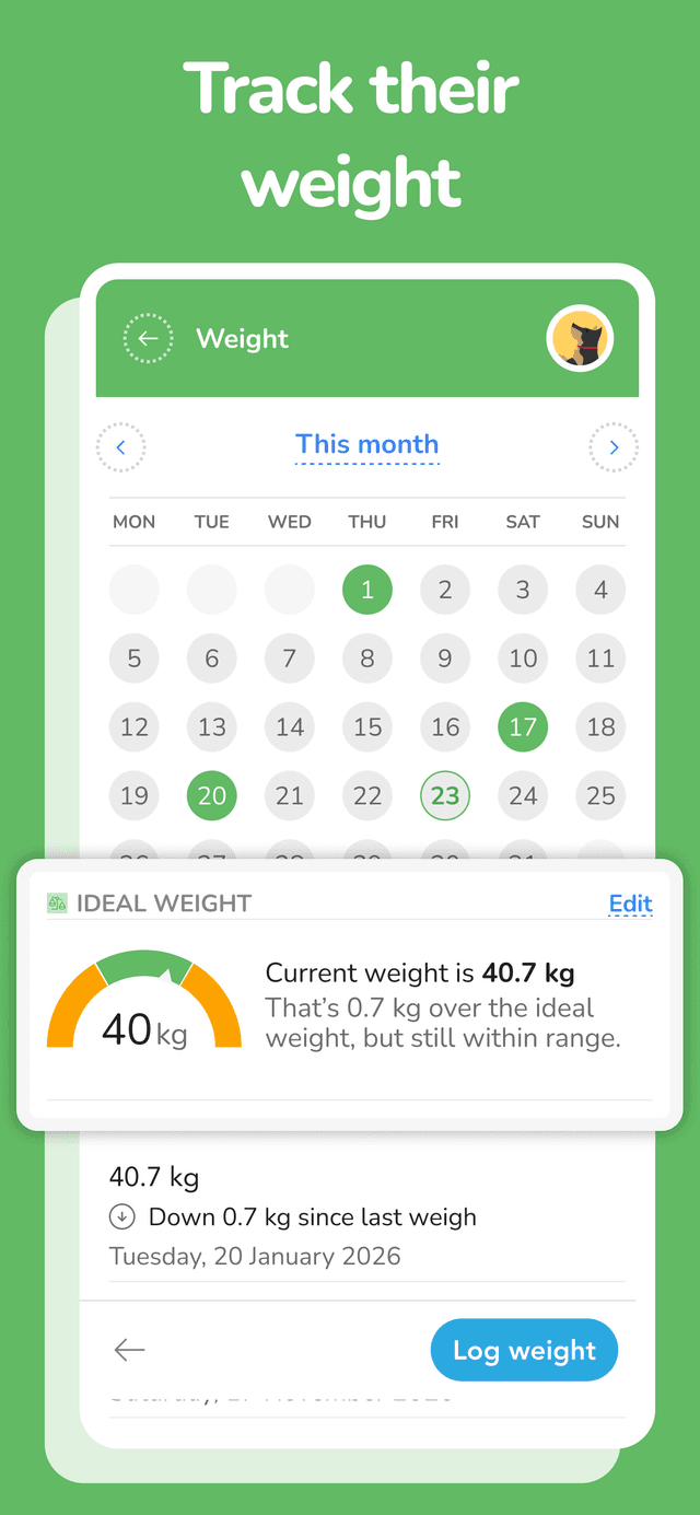 PetOS exercise tracking screen with walk and run activity logs